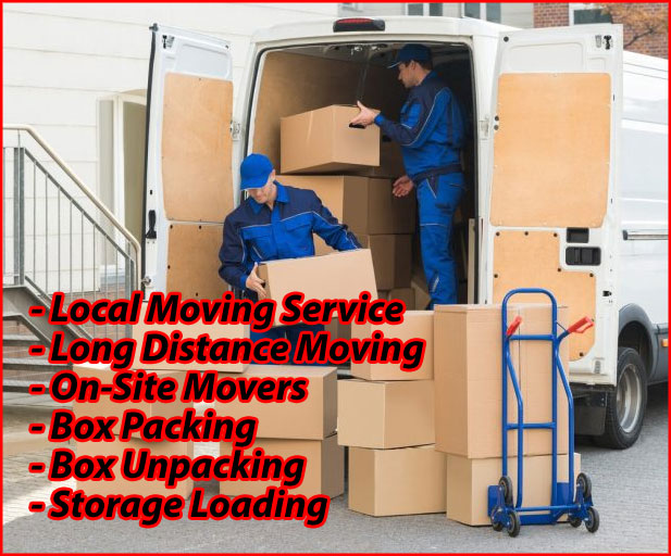 Packers And Movers Noida Sector 43